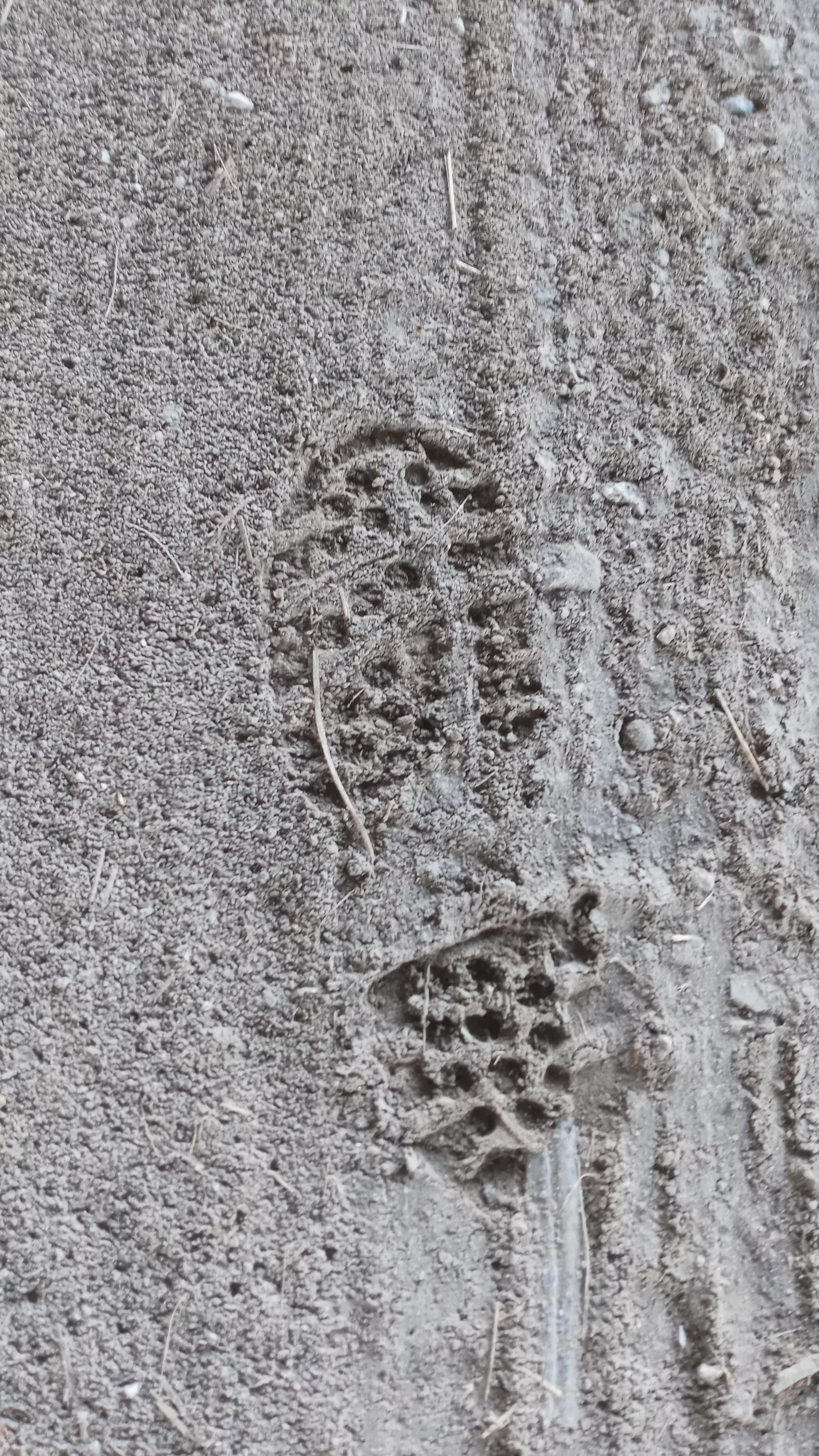 Can anyone identify this boot print? I found several of these on the shoulder of a road along with 2 sets of tire tracks.