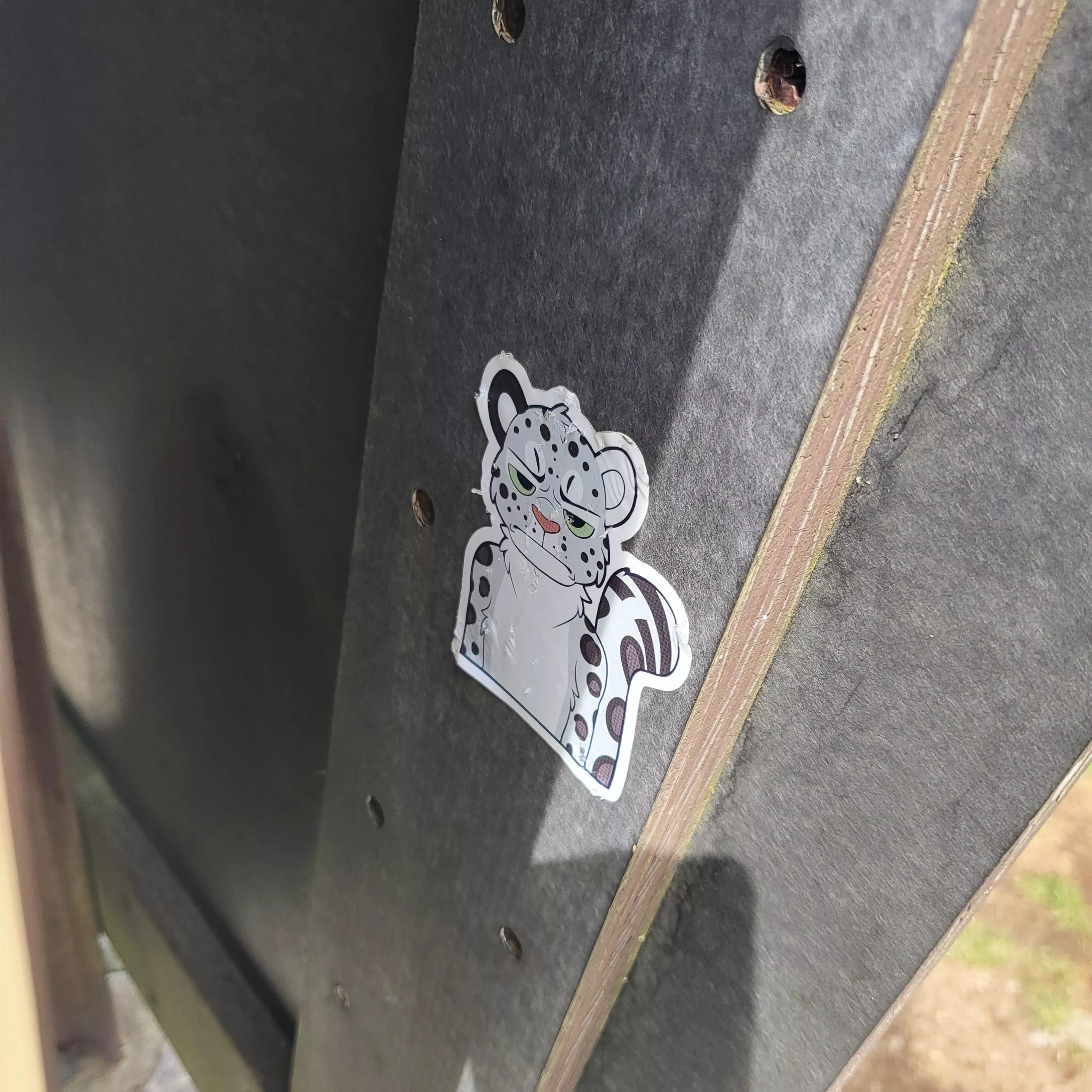 Furry spotted: Carver's Gap, NC