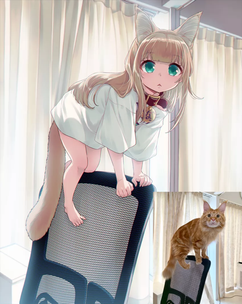 Nekomimi on a chair