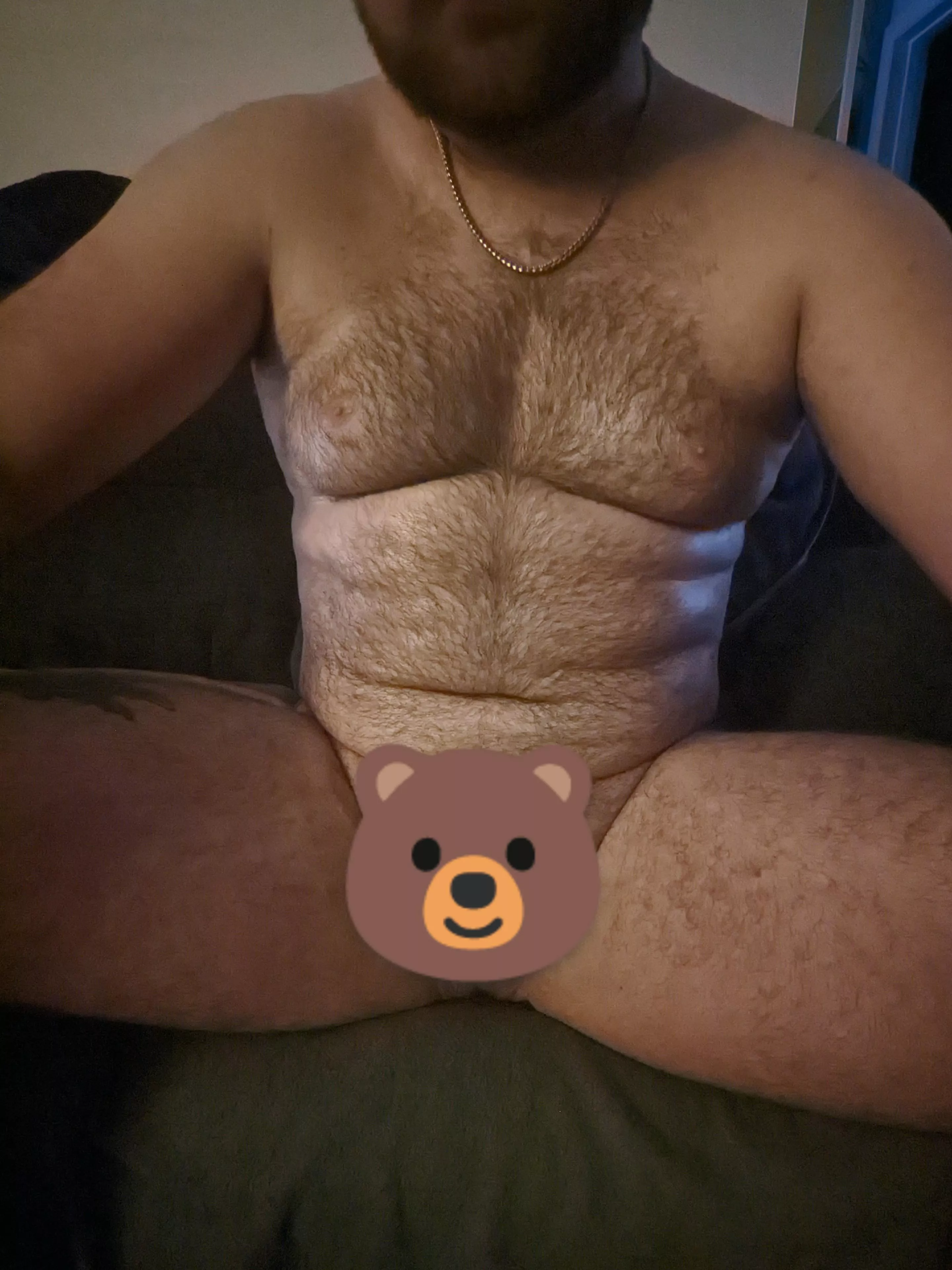 Soft and Fuzzy ðŸ»