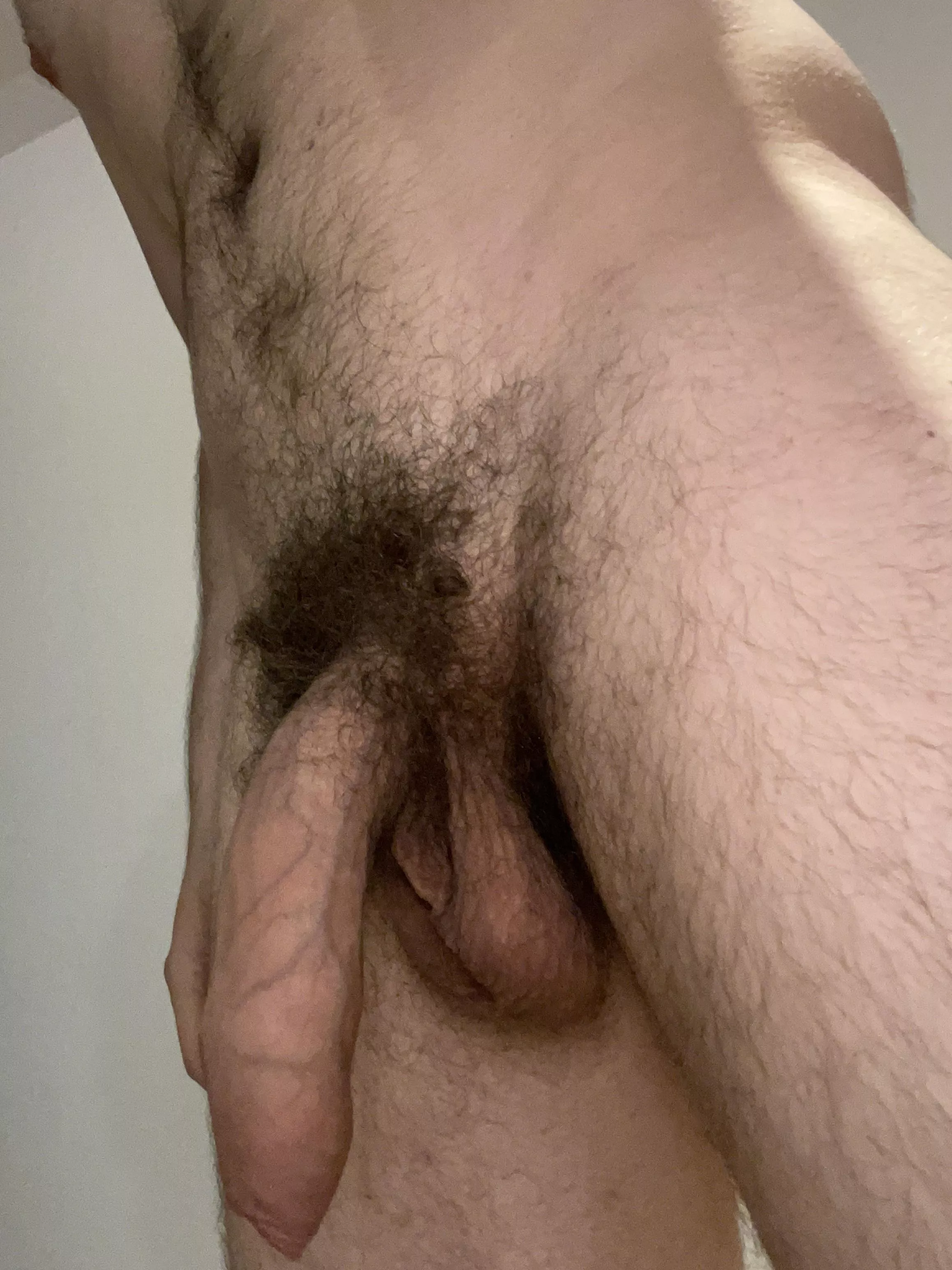 Soft sweaty cock just for you