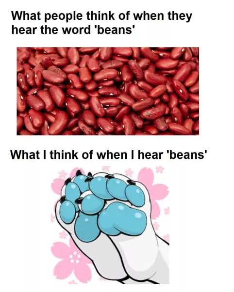 beans beans beans beans beans