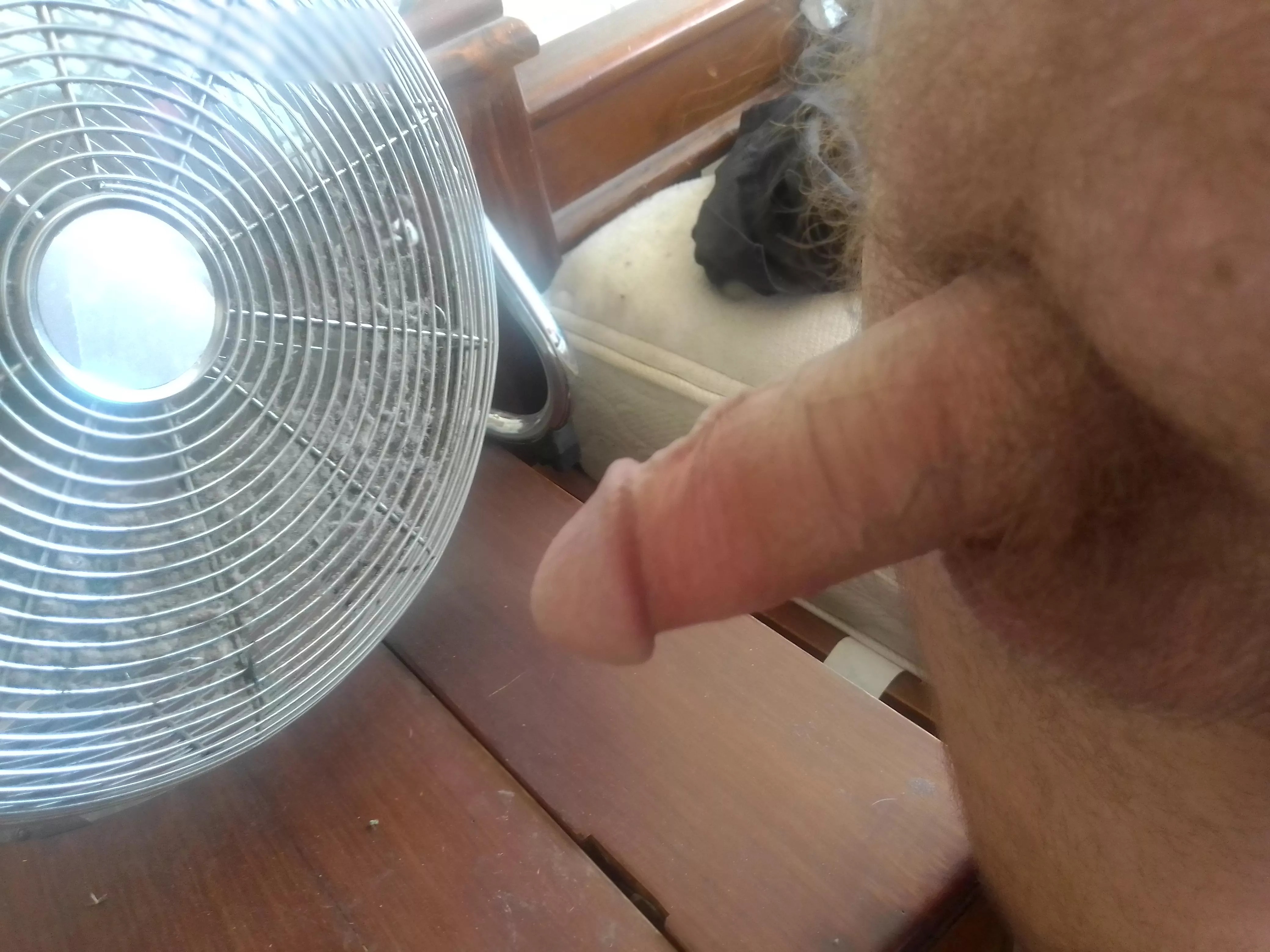 cooling my cock