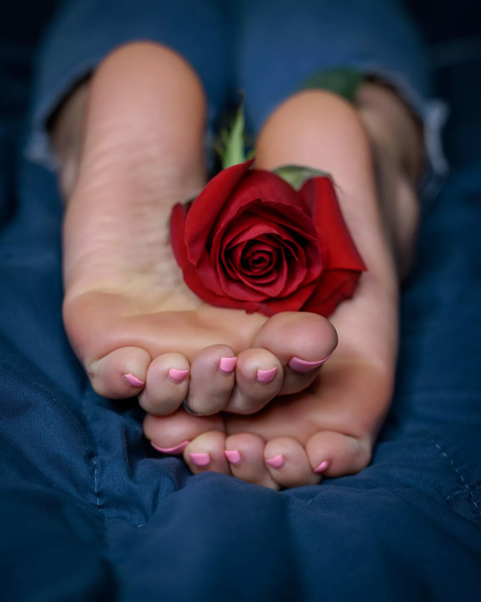 Rose and Toes