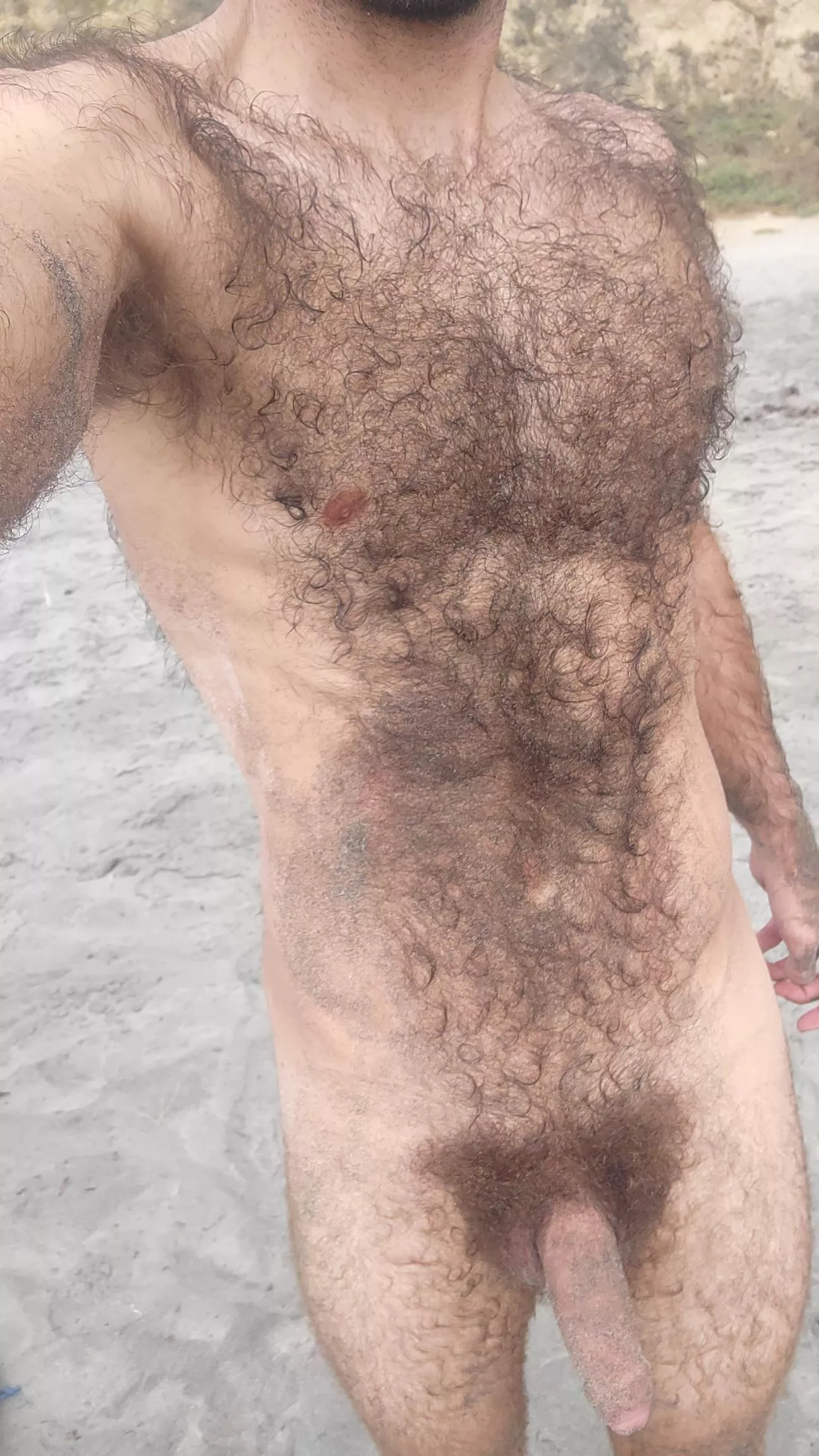 sandy nude hairy body and cock.