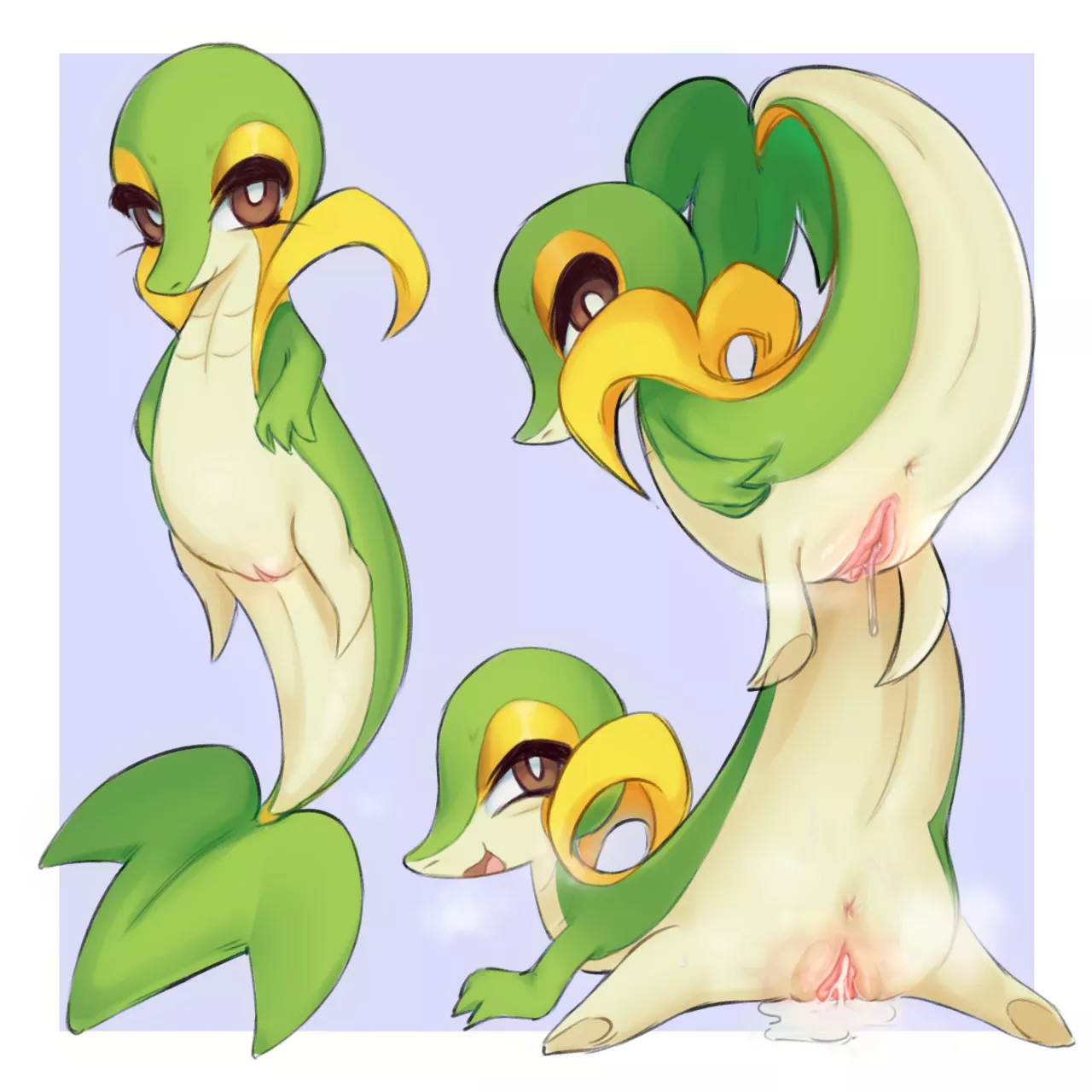 Snivy [F] (Nightrobbery)