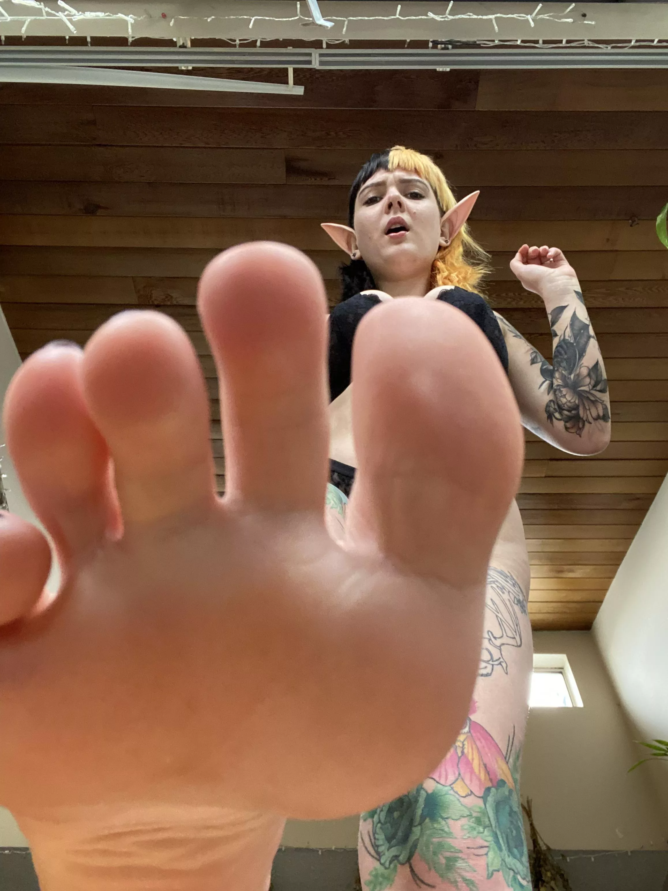 Worship My Cute Elf Foot