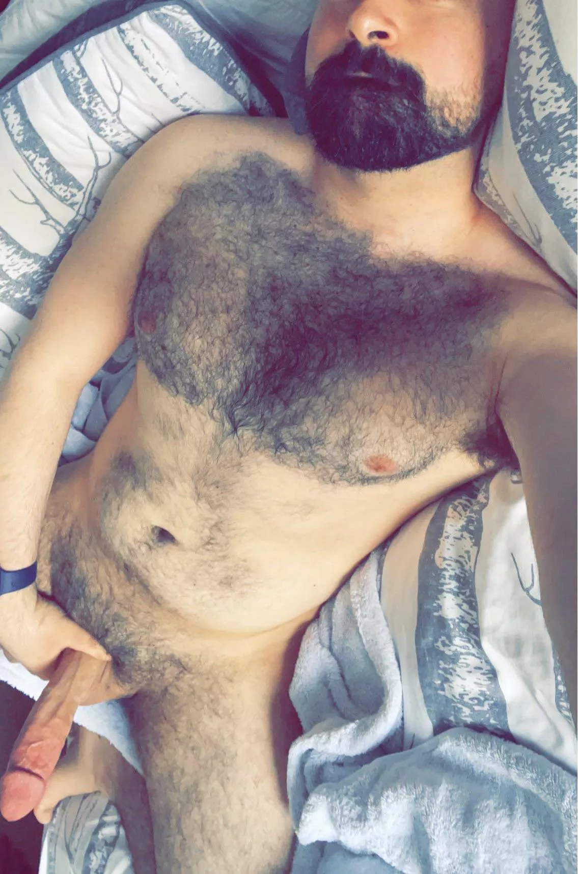 Do you go for the chest or the cock first?