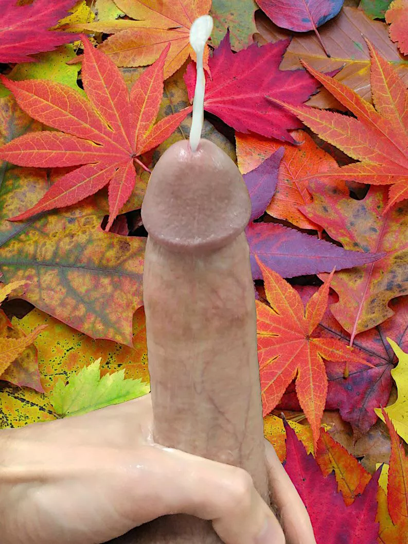 Fall is cumming!