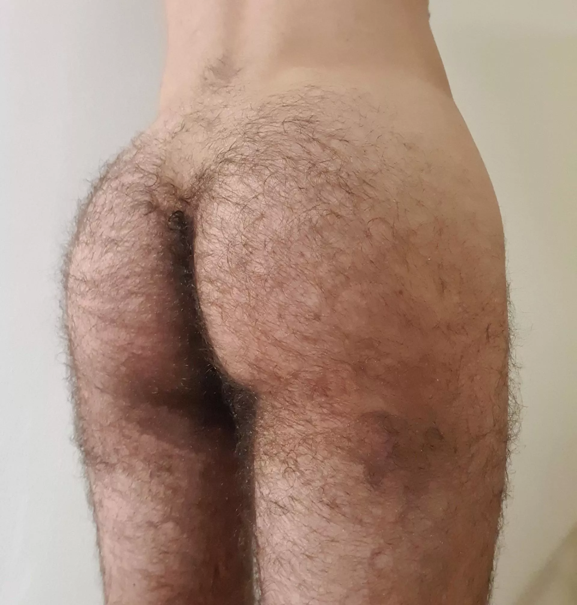 fuck my otter ass, dm me