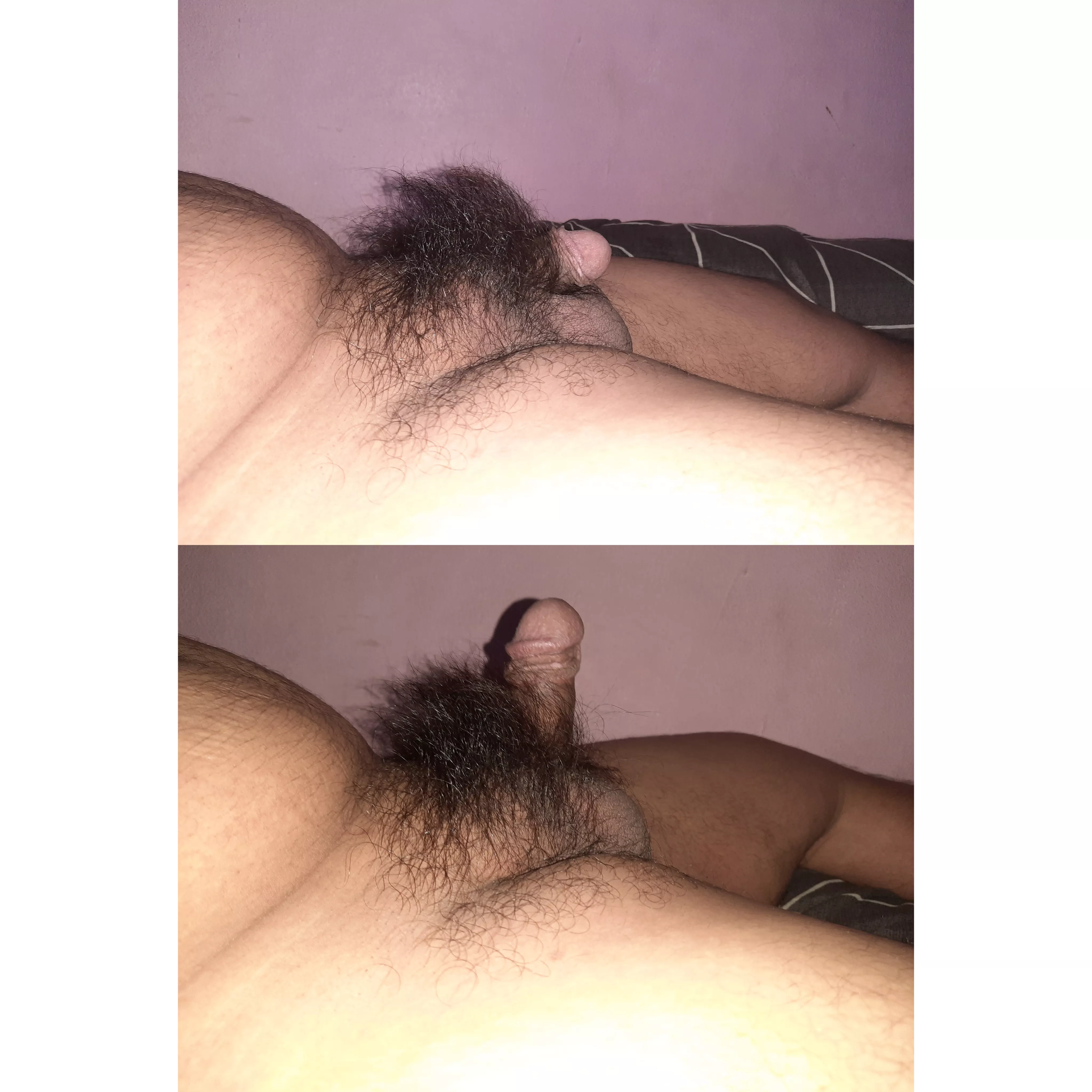 hairy asian penis