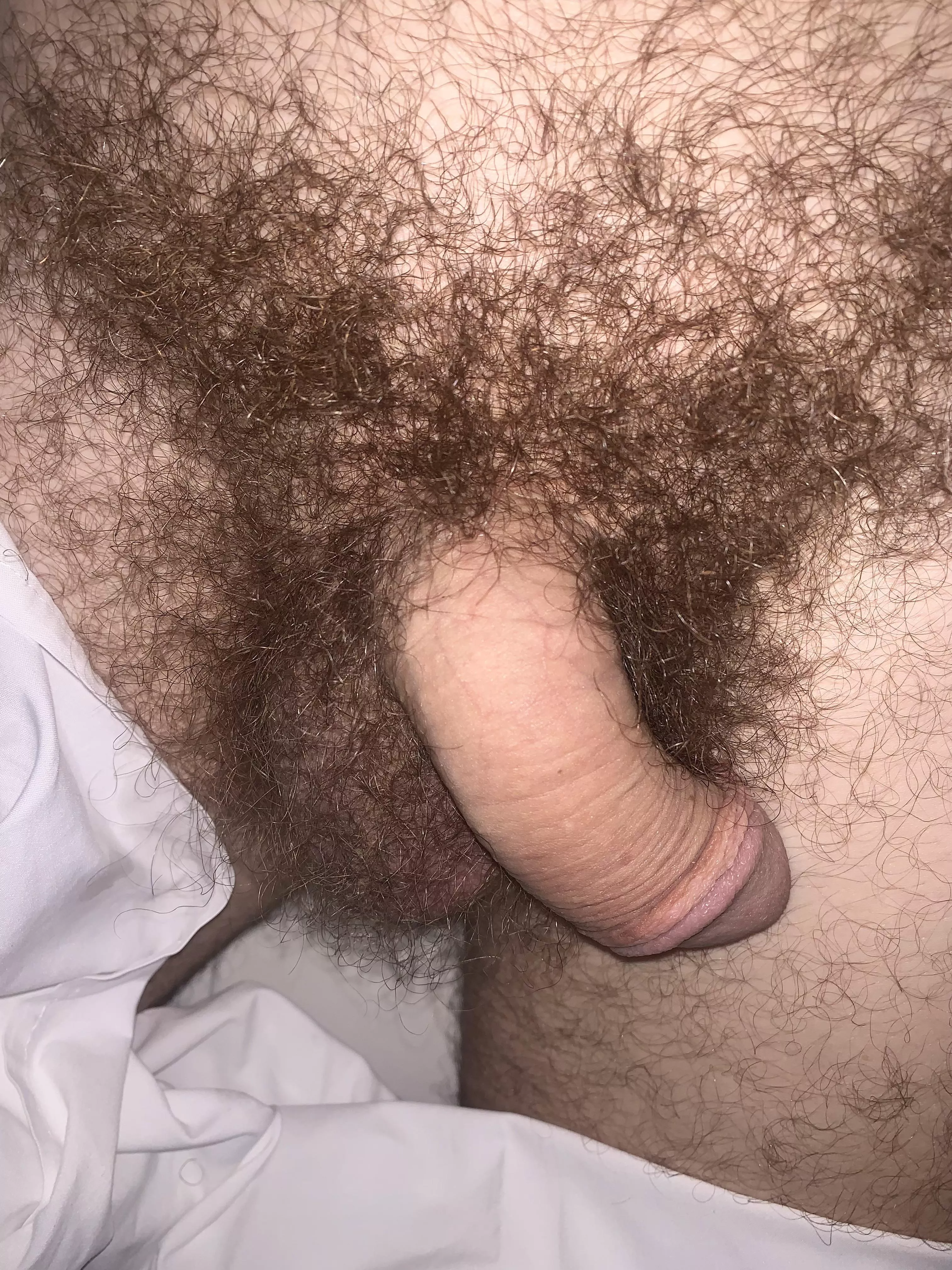 Loaded hairy balls