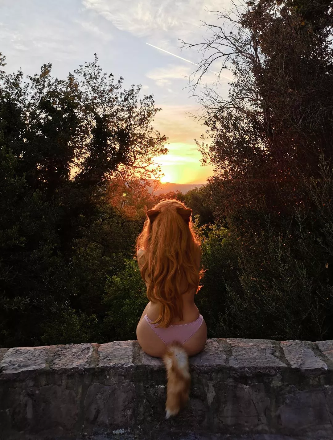 Lonely catgirl and the sunset