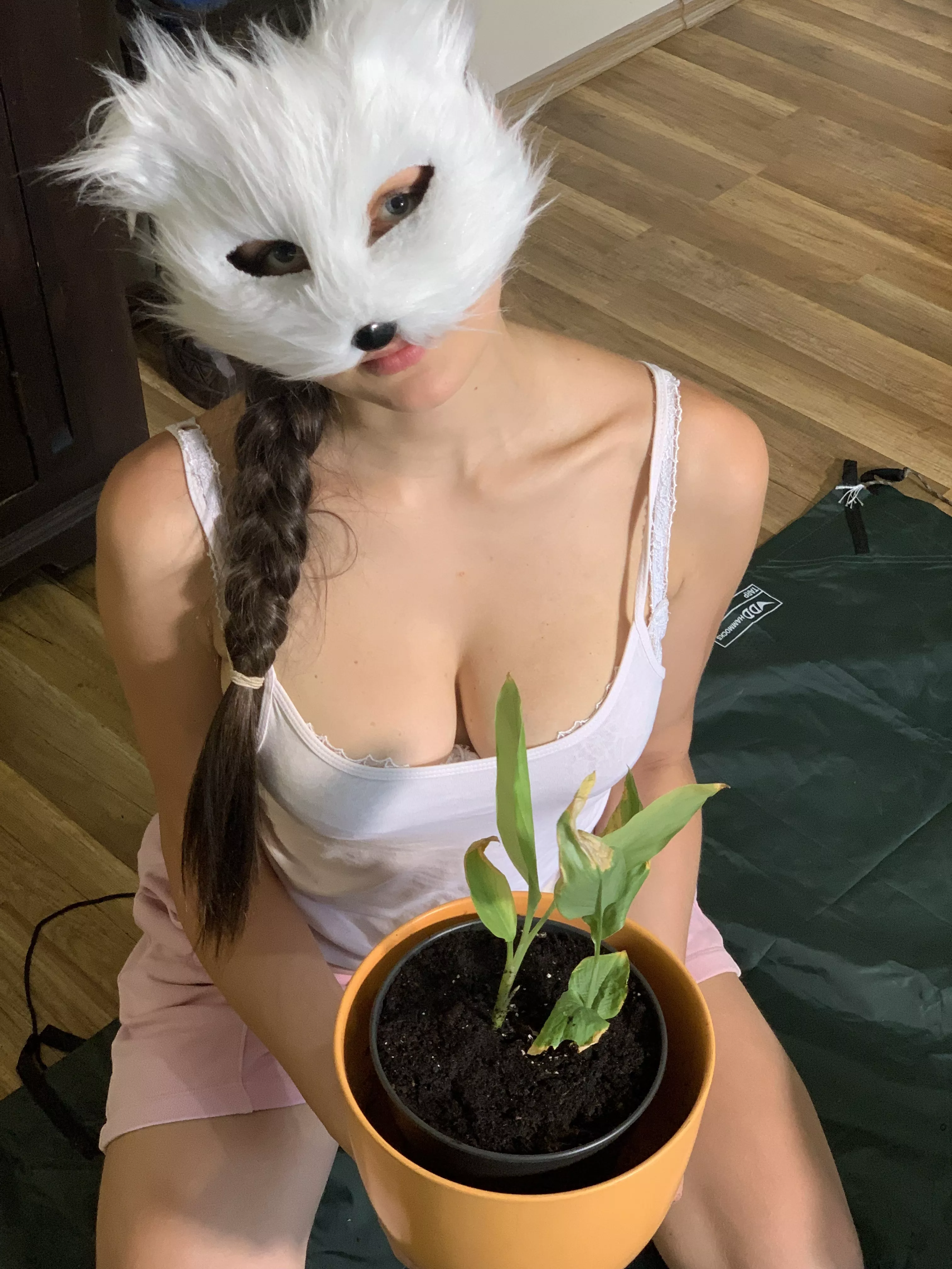 May I take care of your plants ?