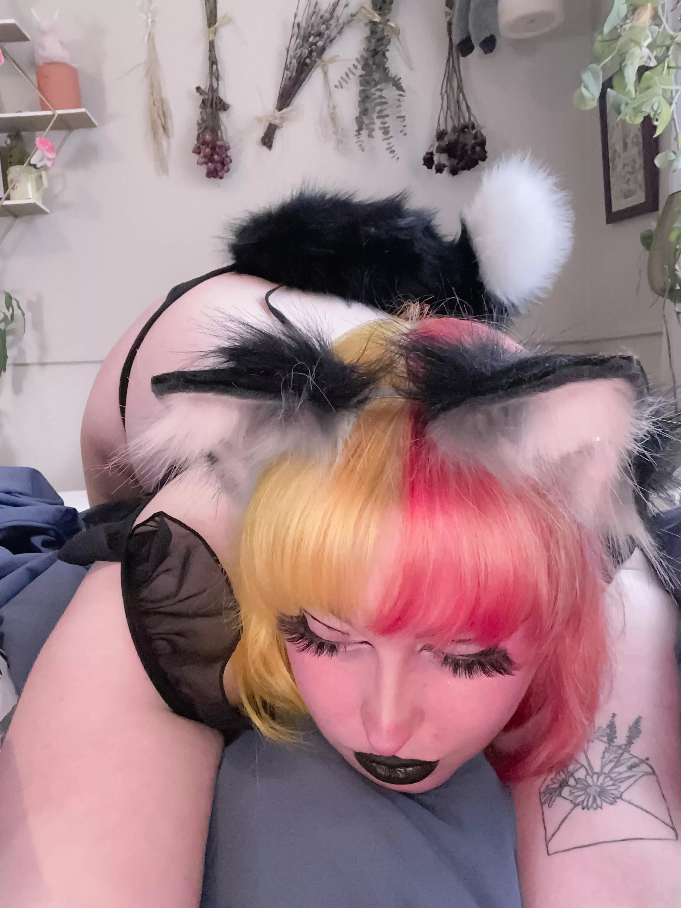 My first tail plug, isn’t it pretty? ~