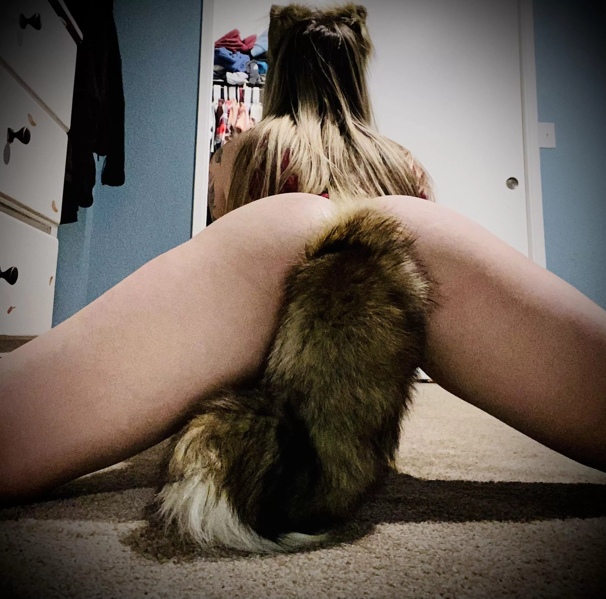 My tail finally arrived. And Iâ€™m in love with it ðŸ˜‰ðŸ’™ðŸ¦ŠðŸ™ƒðŸ¤¤