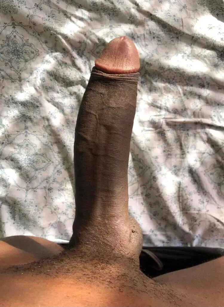 Hey I'm doing tribute for the next hour, nudes are preferred over none. I'm willing to send videos and me jerking to whoever you like. hmu with the pics or vids of who you want me to trib. I'll trib whatever you want.