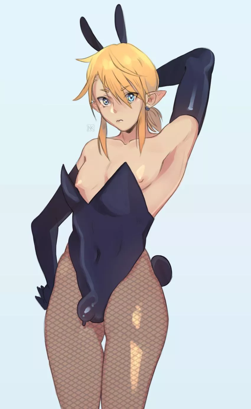 Lingerie Link