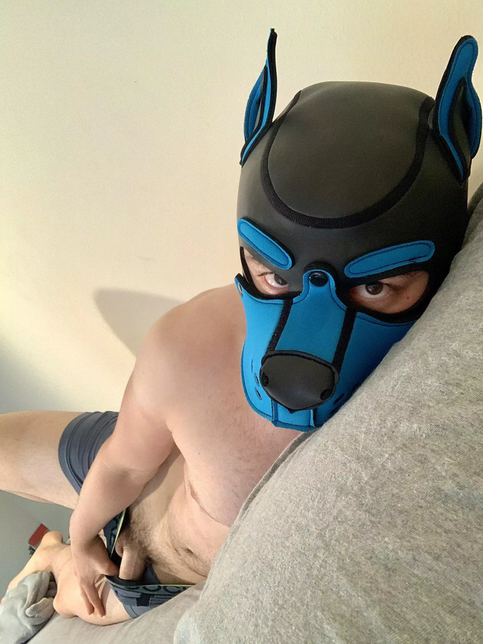 Who wants to be my service pup?