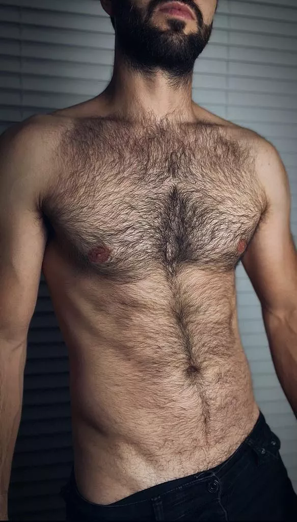 Your daily hairy guy fix