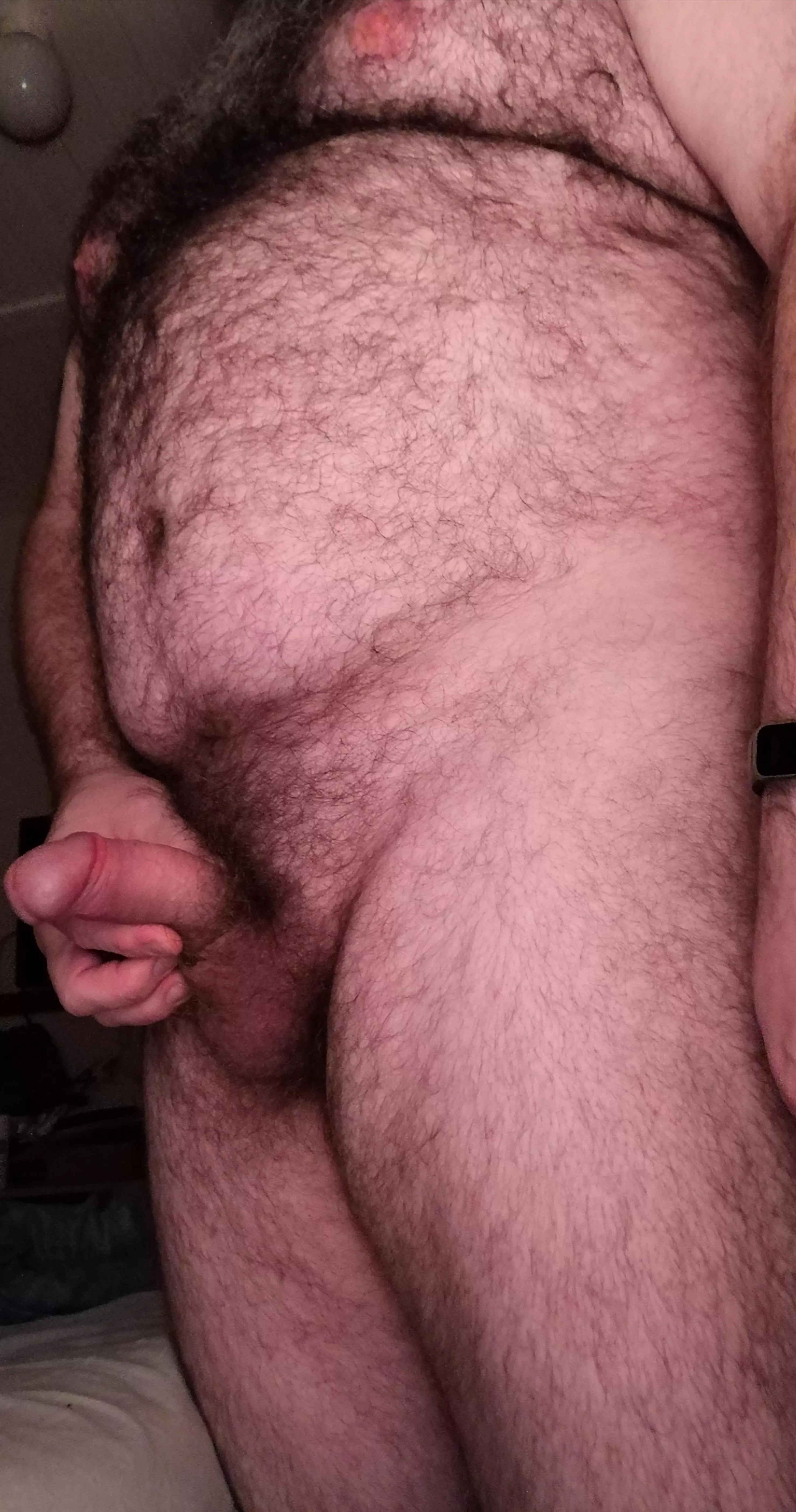 [41] chubby hairy dadbod stroking one out