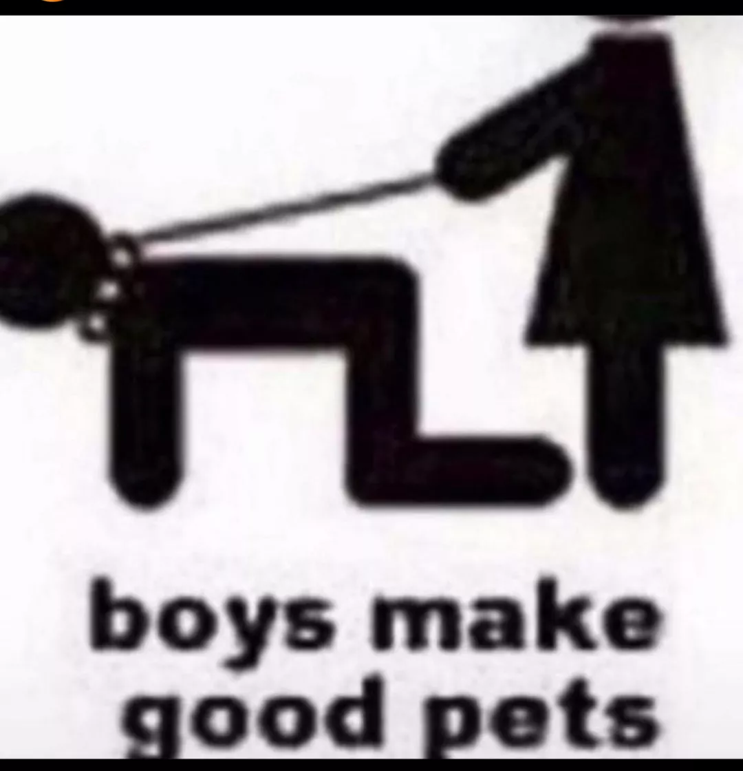 boys make good pets