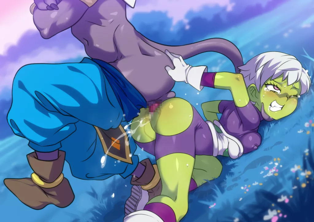 Beerus has a thing for Cheelai (jcm2)