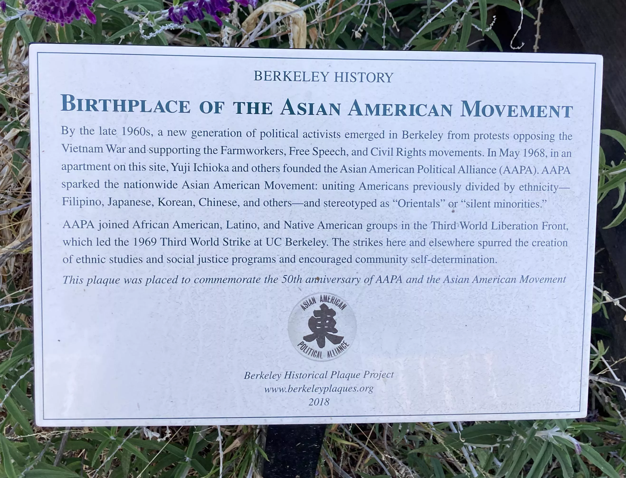 Berkeley: birttplace of the Asian American movement