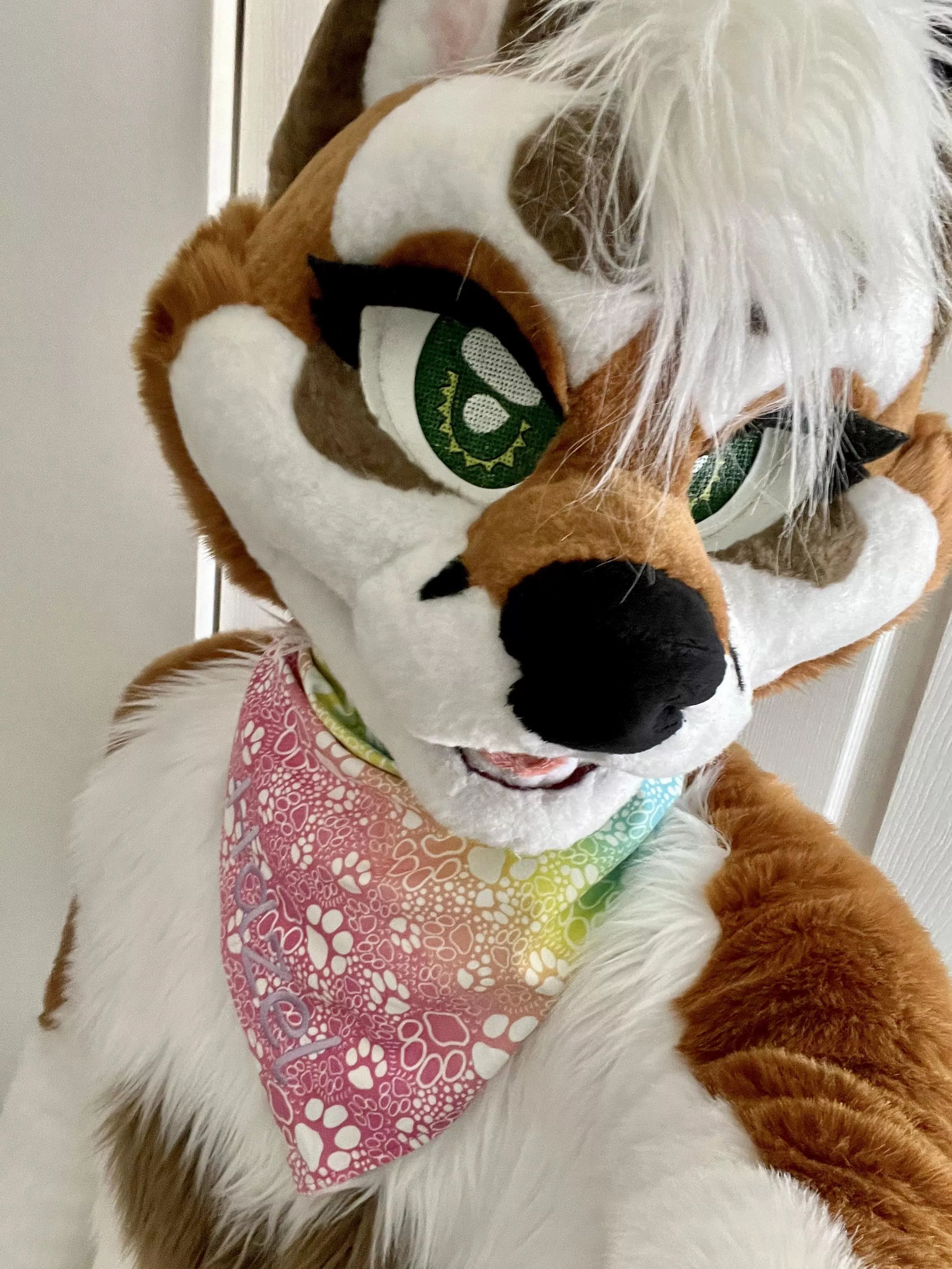 Happy Fursuit Friday