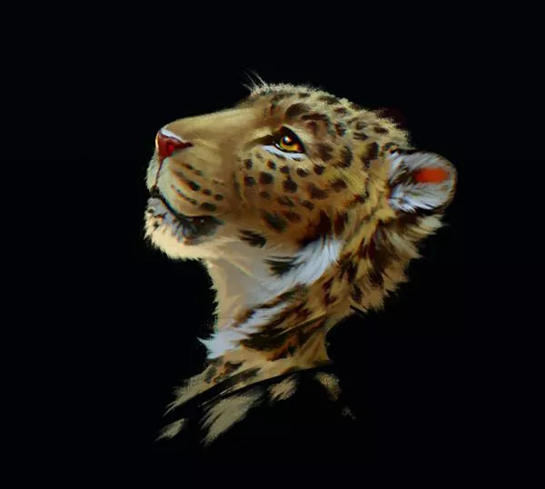 Jaguar by Royz