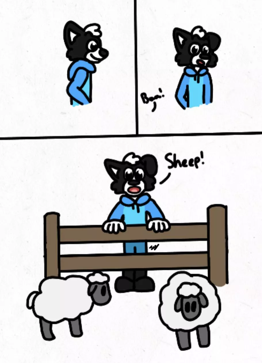 Sheep :)