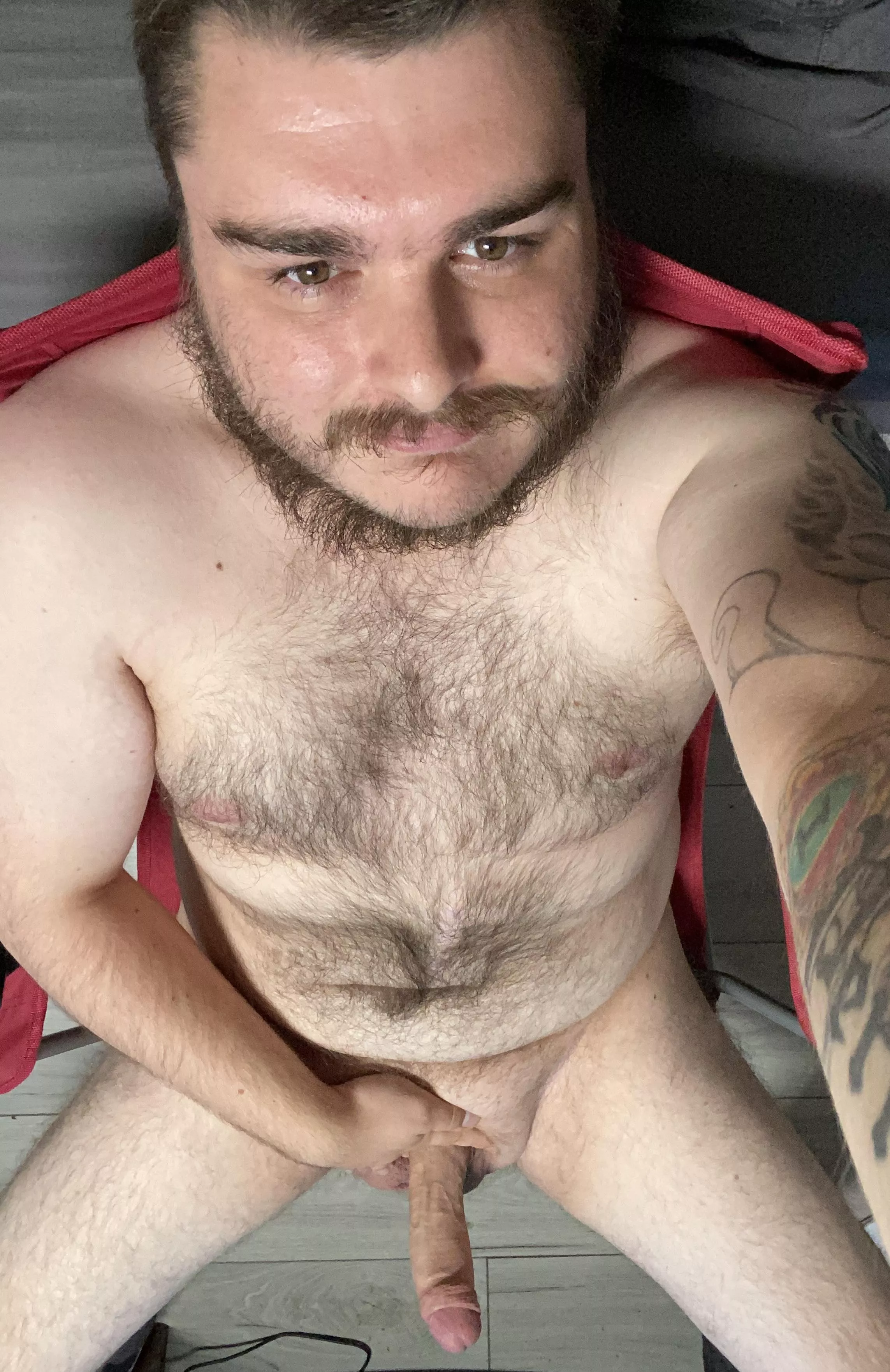 Any ladies wanna take a thicc hairy dudes virginity?