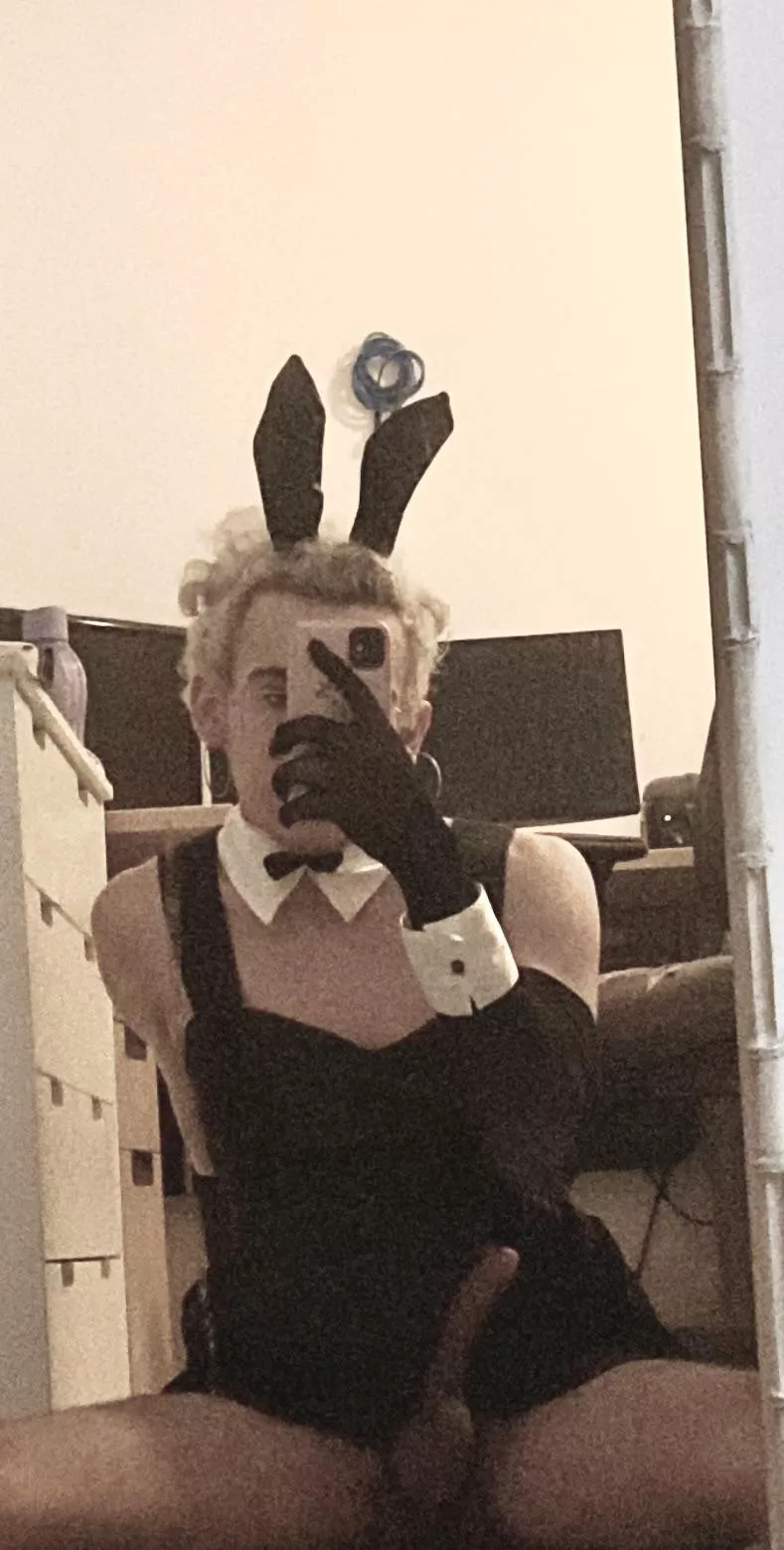 bunnygirl dick