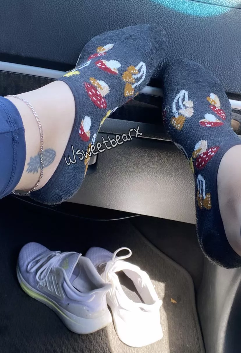 [f] Perfect socks for September 🍁🍄