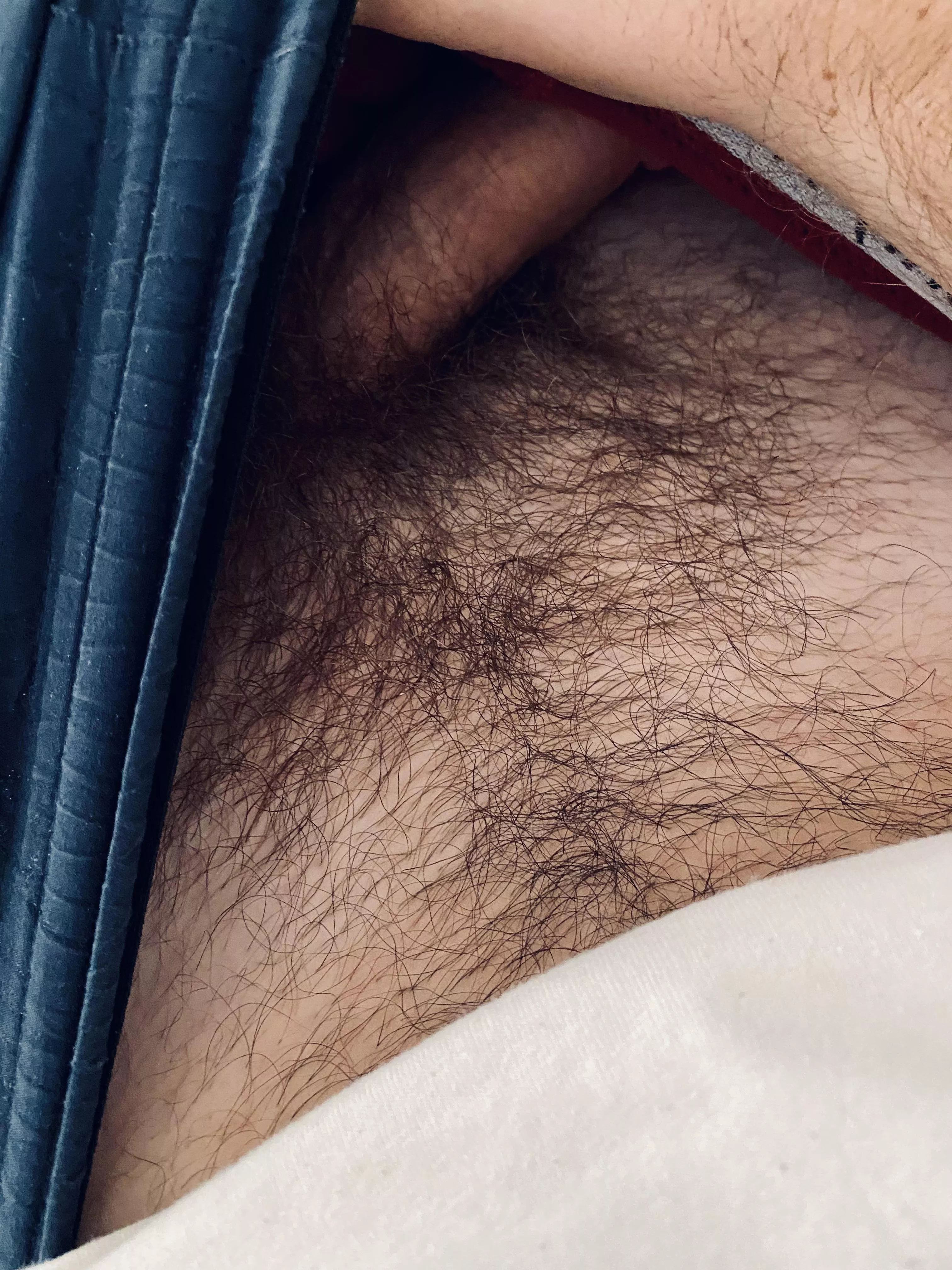 Hairy and horny in bed ðŸ¦¦