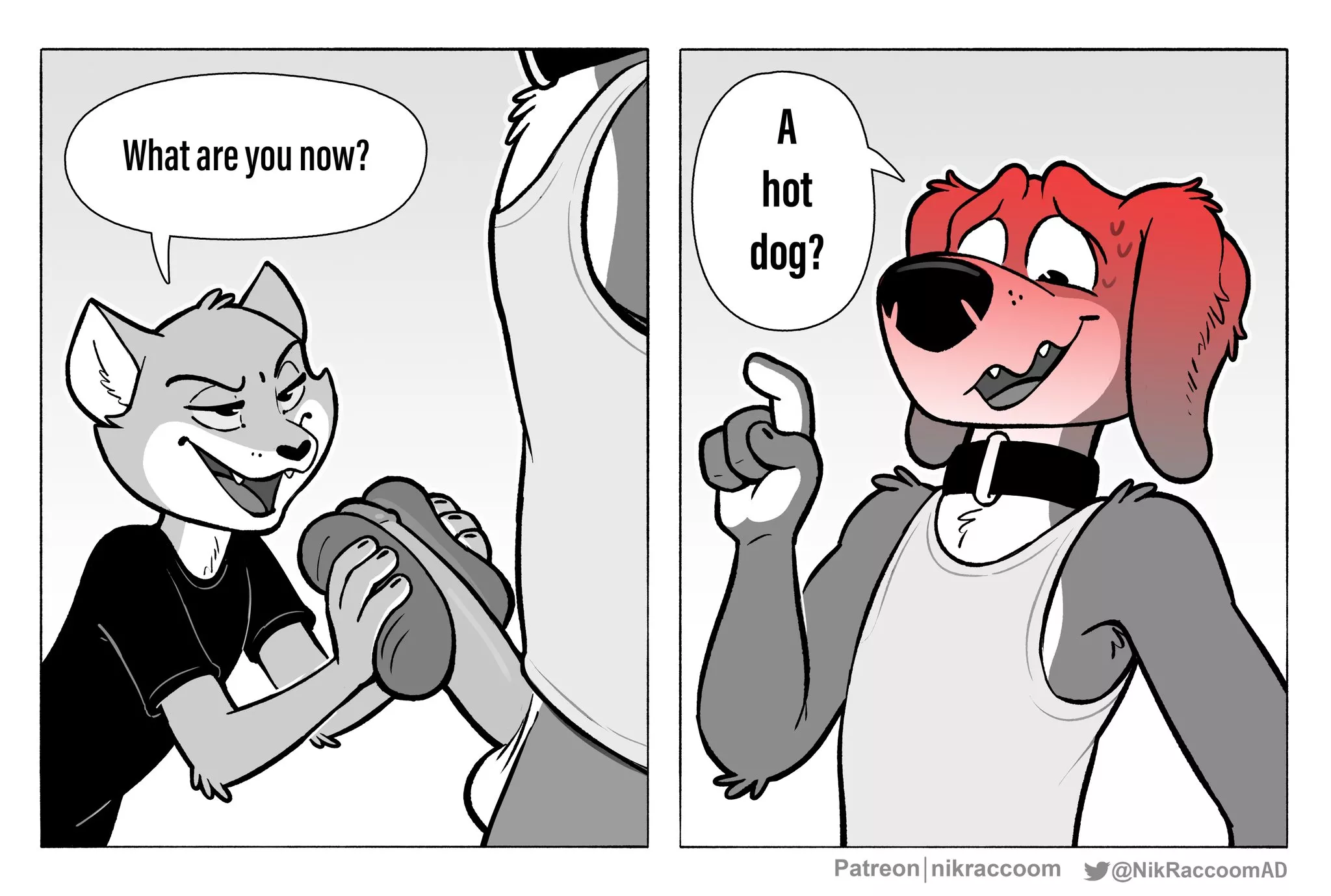 Hotdog (NikRaccoomAD)