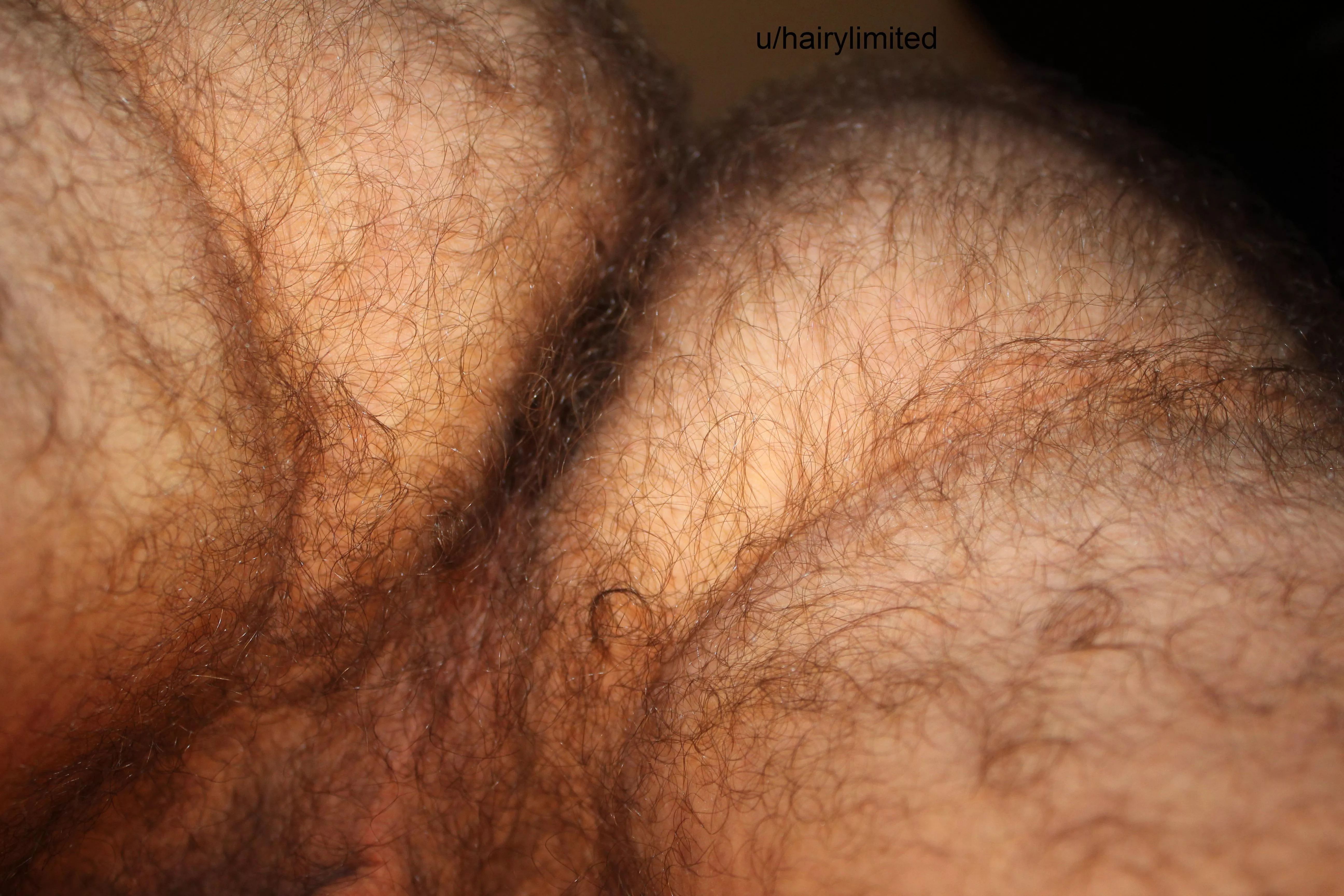 I love my pubes. what do you think?