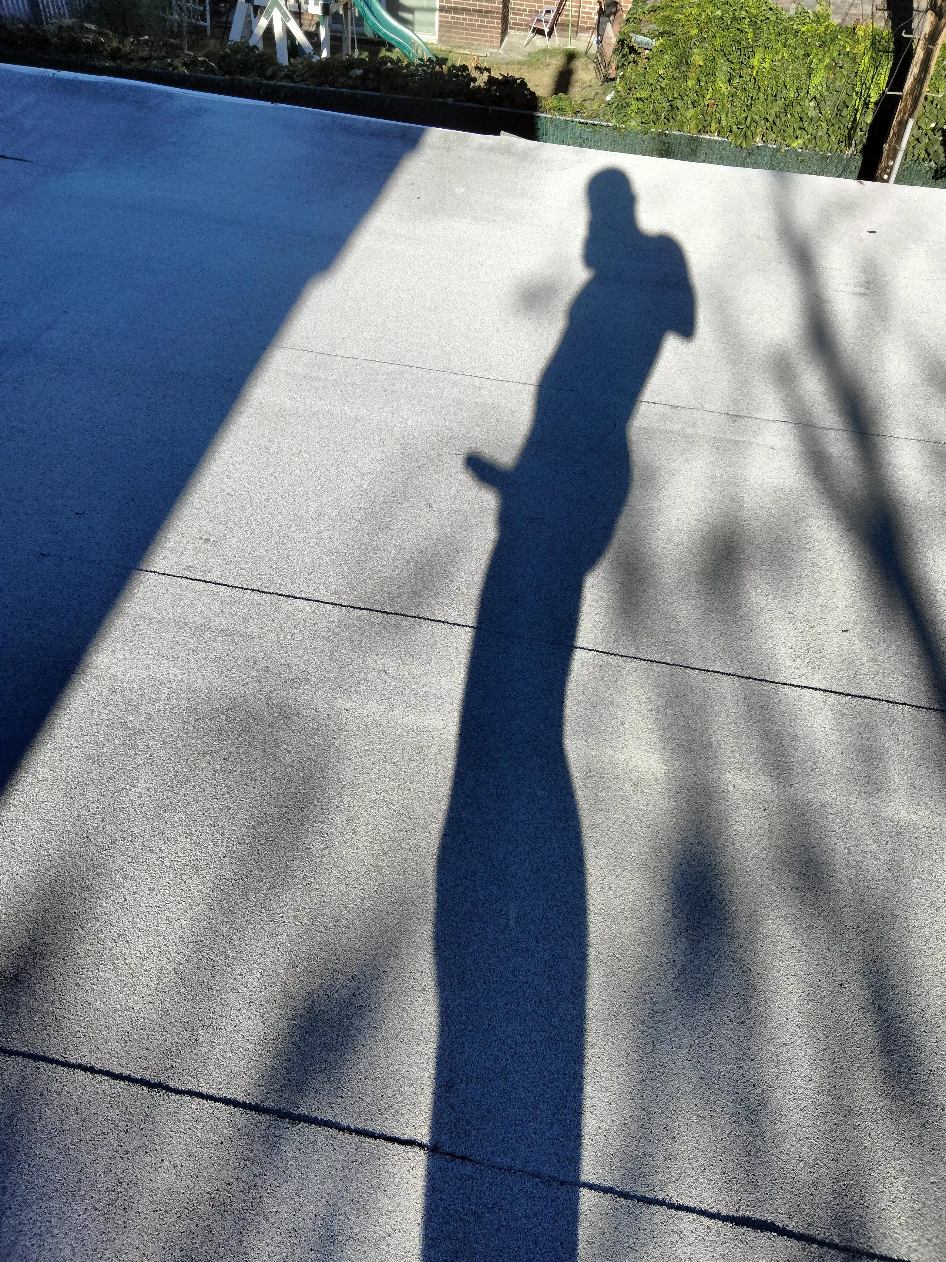 My shadow