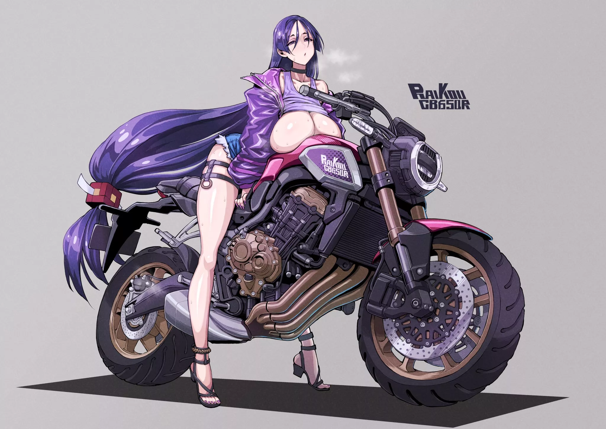 Raikou X CB650R