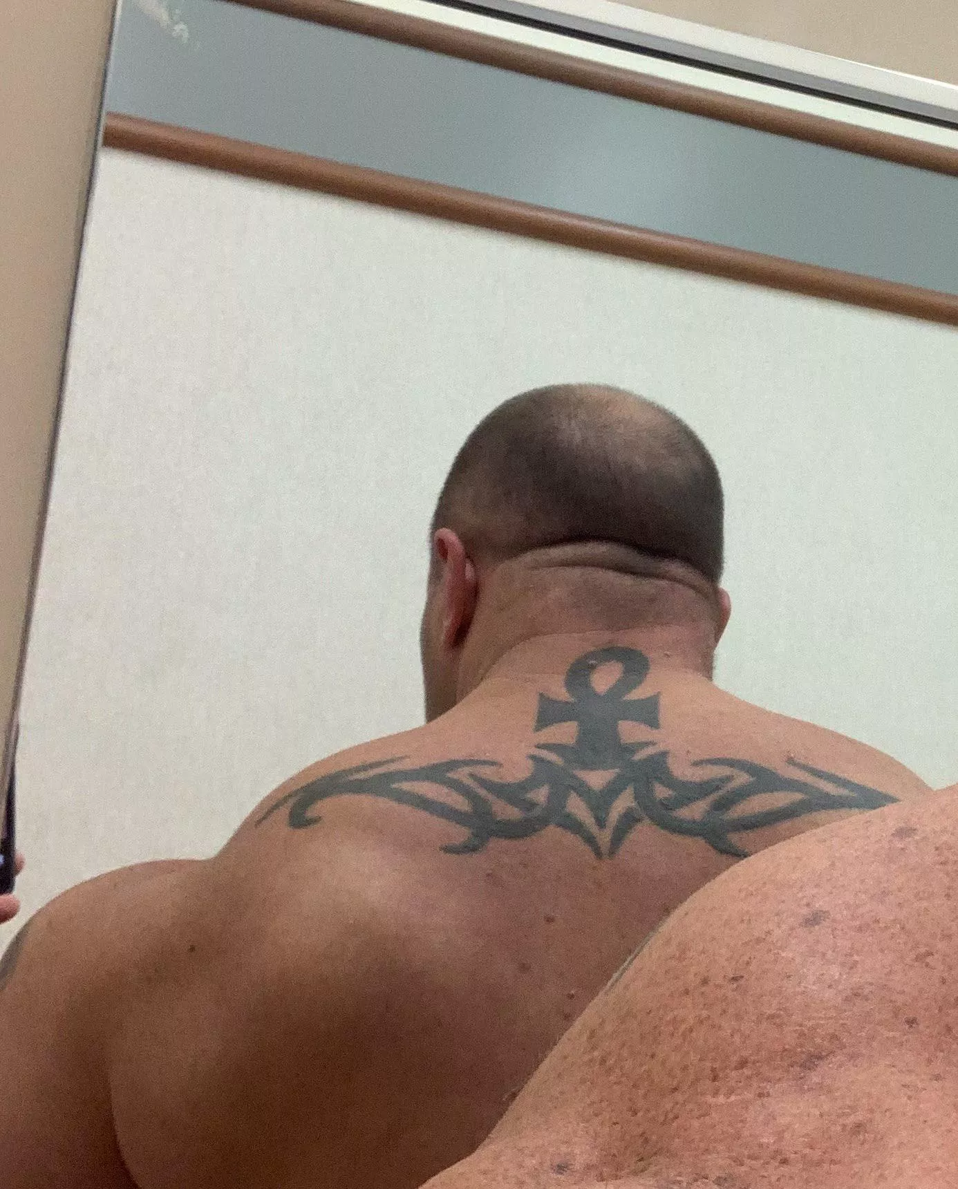 Shoulders and back filling in (m)