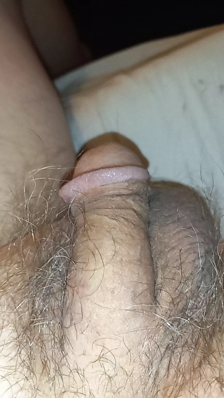 57m chub dad small cock hmu