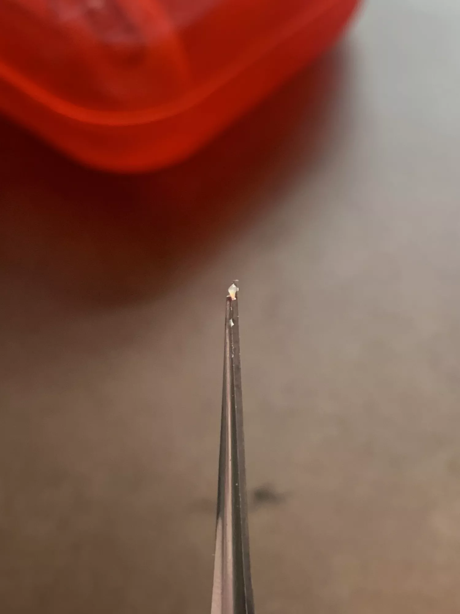 Long time lurker, first post- there wasn’t a satisfying pop, but I pulled this little cyst sac out of my face today