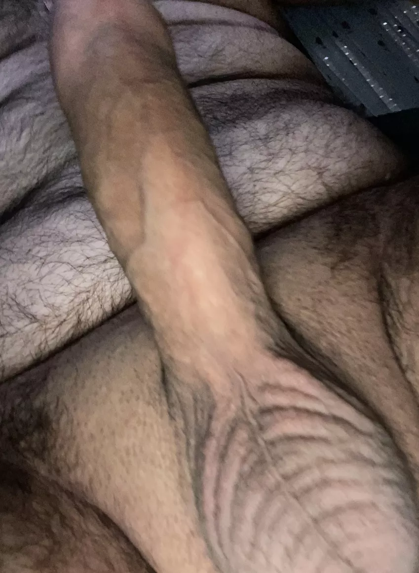 on the chubby side with a fat veiny cock