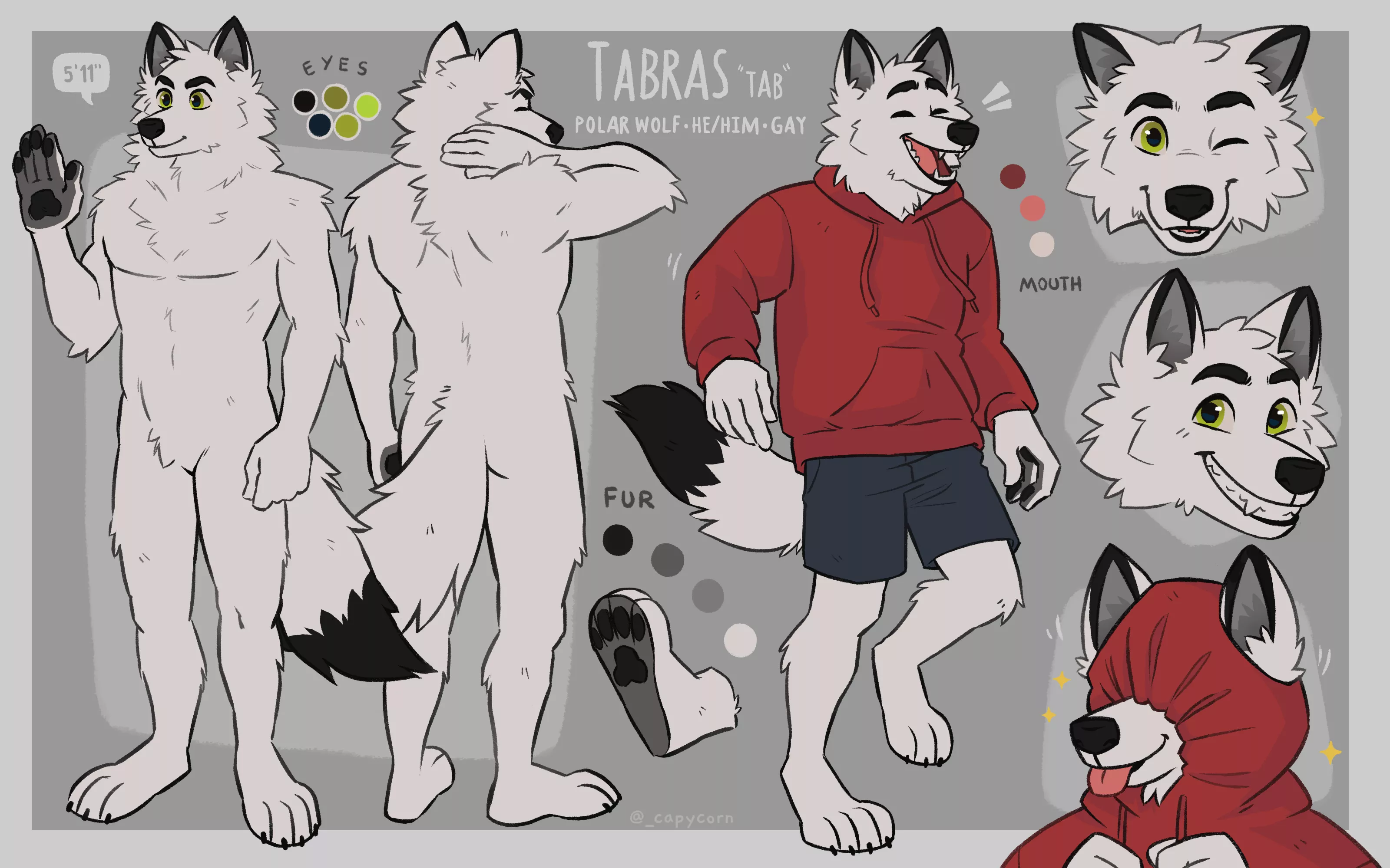 Ref sheet for someone on Twitter (art by me _capycorn)