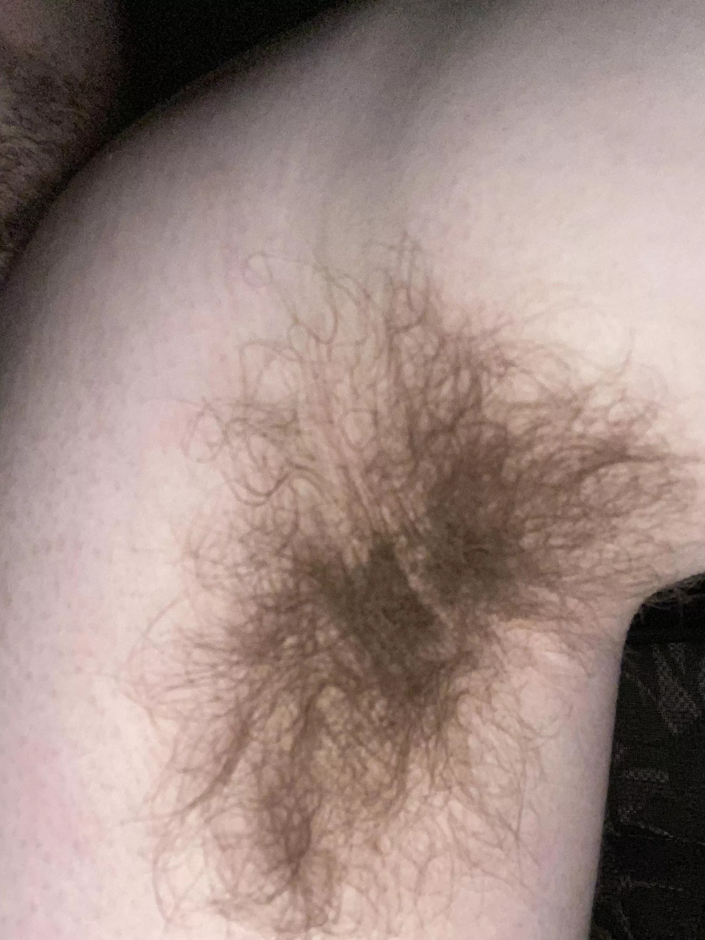 Should I shave?