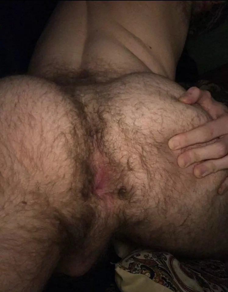 Sniff taste and stretch my hairy man ass