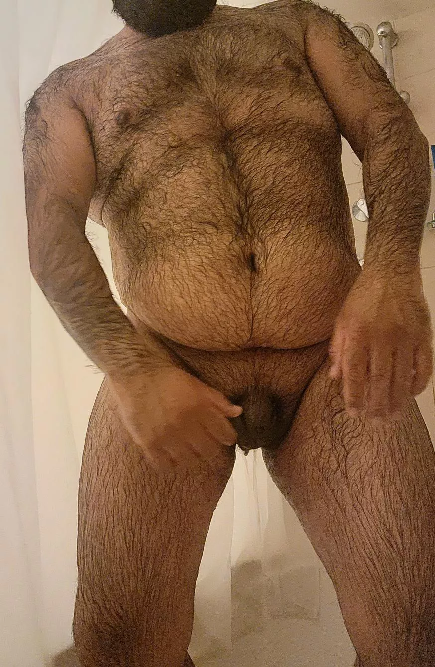 wet fur