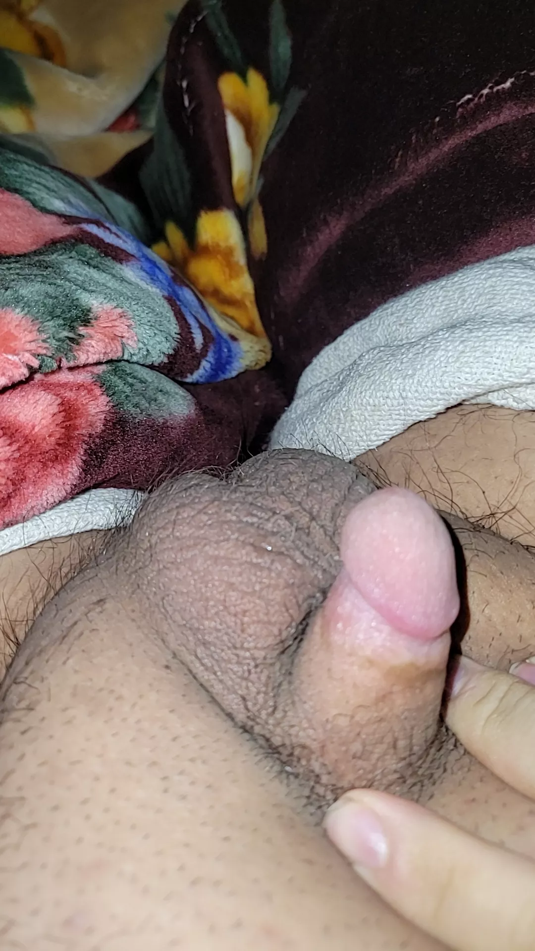 21 m bi college student today's my birthday wanna see my tiny cock snap tinylgs