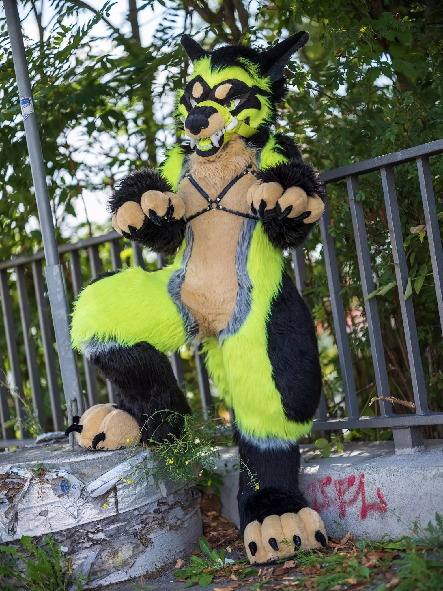 fav pic of my suit from Eurofurence >:3