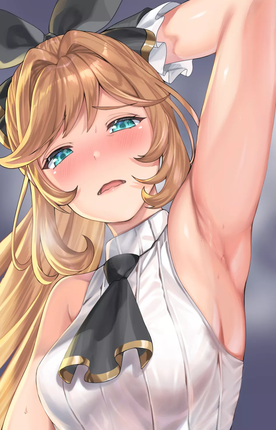 Sweaty Clarisse Pits [Granblue Fantasy]